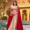 WMN 2008a Designed for Weddings & Festive Occasions Lehenga Set Combines Royal Paithani Embroidery - Usa