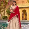 WMN 2008a Designed for Weddings & Festive Occasions Lehenga Set Combines Royal Paithani Embroidery - Usa