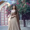 WMN 2037 Shreevani Chinon Zari Weaving Work Lehenga Choli