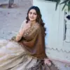 WMN 2037 Shreevani Chinon Zari Weaving Work Lehenga Choli