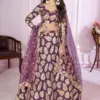 Zeel 5103 Net Embroidery Wedding & Party Wear Lehenga Choli Usa