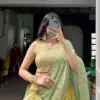 WMN 1466 Moss Silk Thread Embroidery Work Lehenga Wholesale Surat Usa